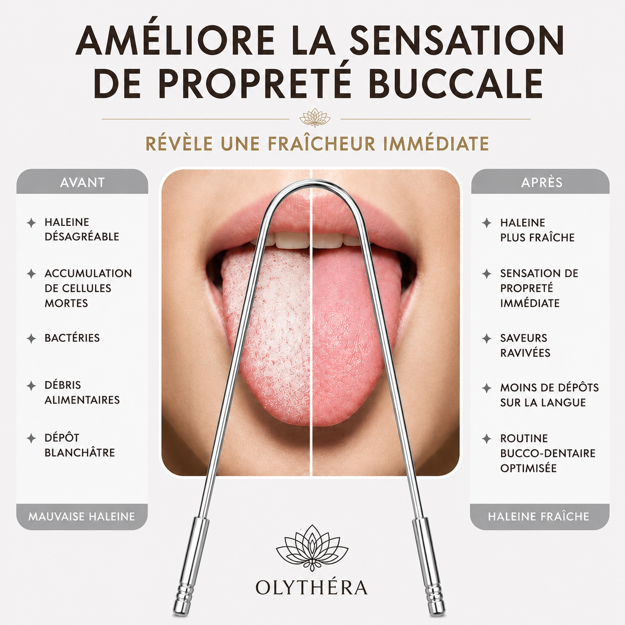 OLYTHÉRA – Trio de gratte-langues Stainless Steel